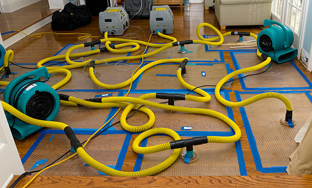 Professional Crawl Space Water Removal technician working in Albin, WY